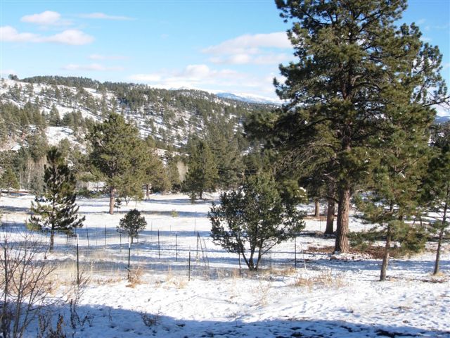 740 Plateau Dr