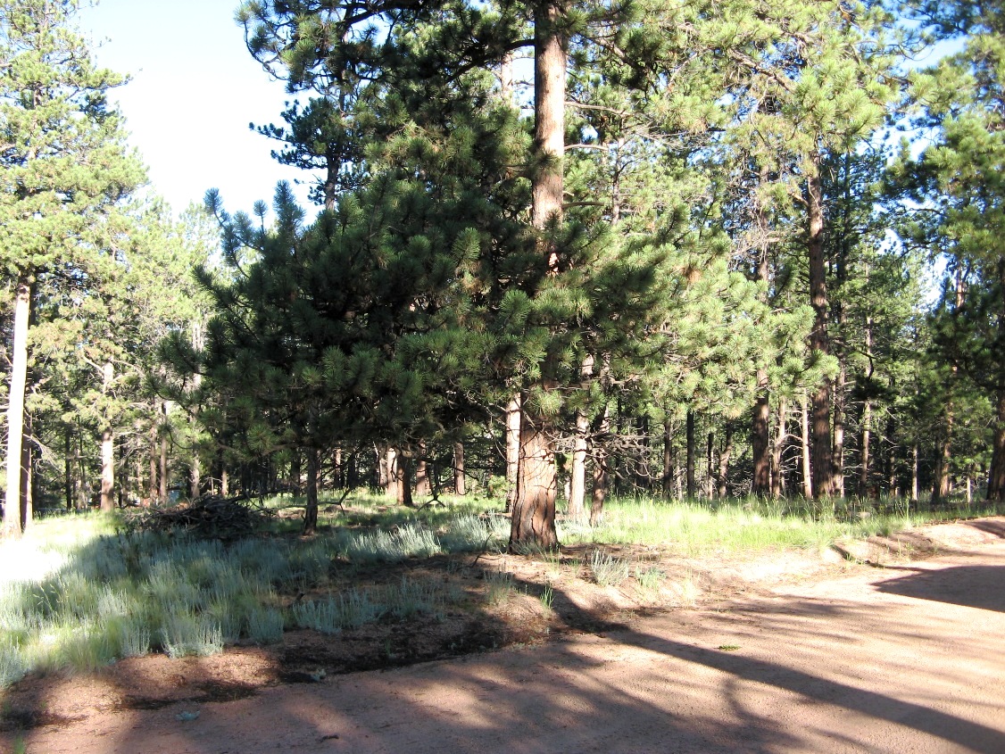 207 Monument Ln.