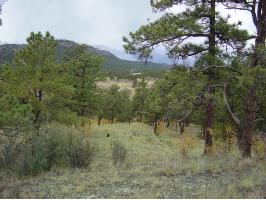 219 Apache Trail