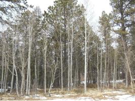 645 Badger Trail