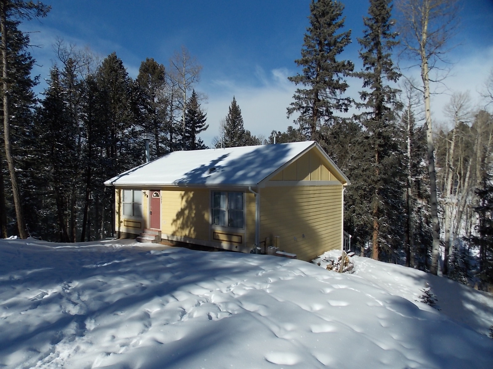 297 Banner Trail