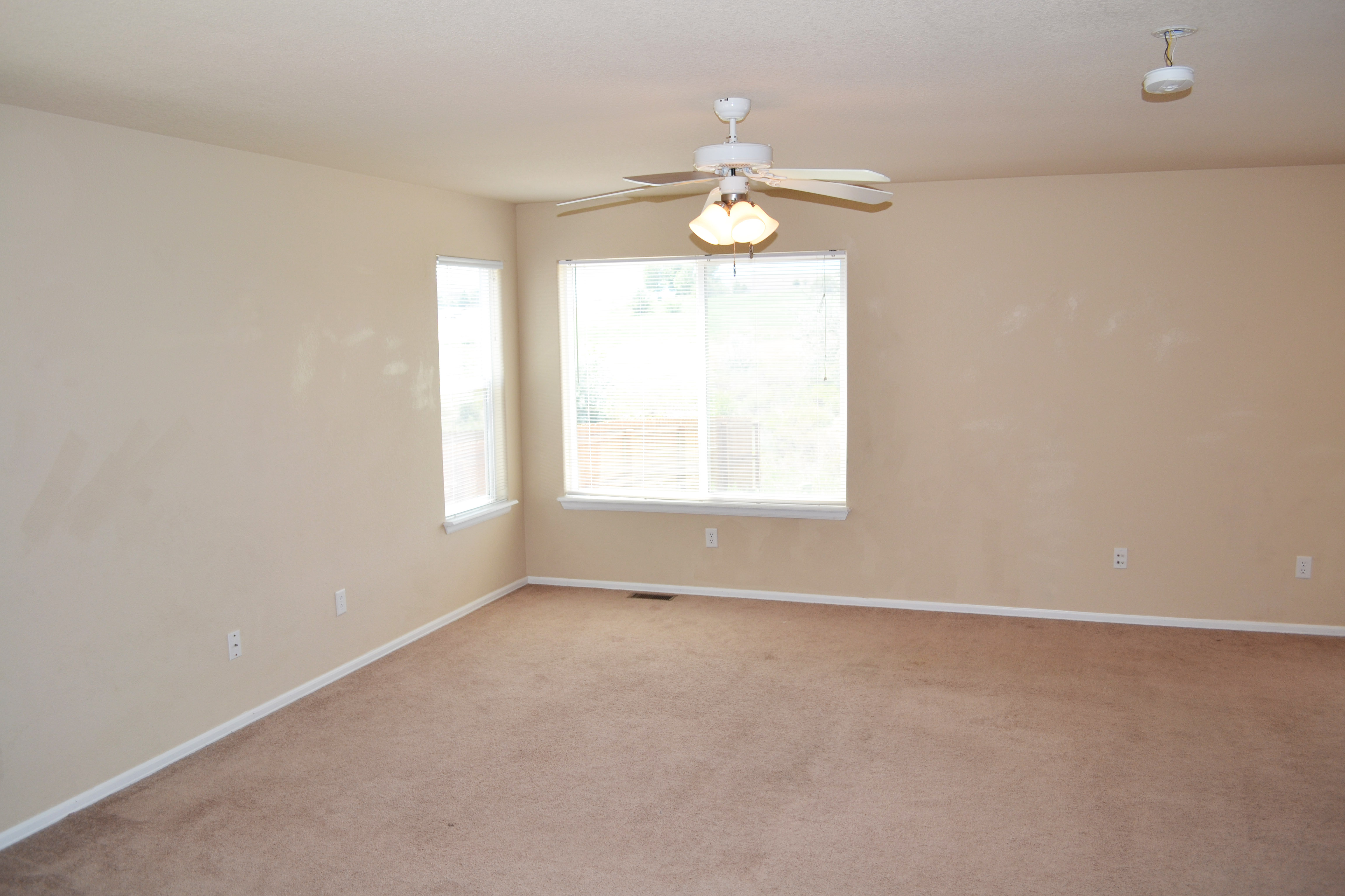 7952 Catbird Ct.