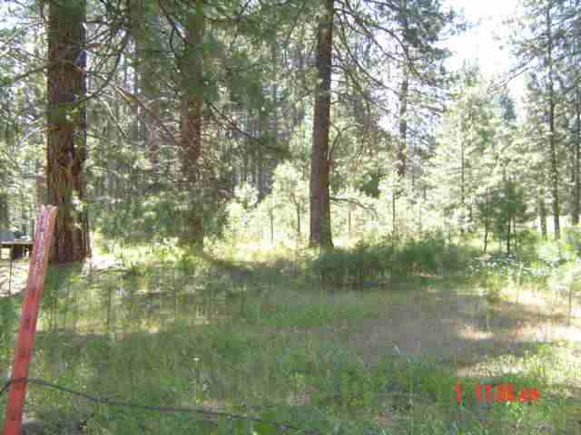 6772 BUCKS LAKE ROAD