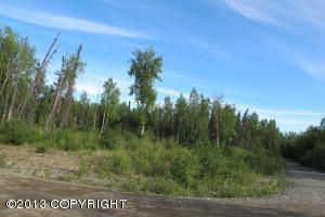 L1 B2 W Coghlan Circle