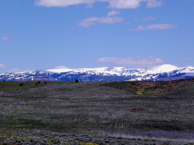 Lot 5 Hidden Canyons Road