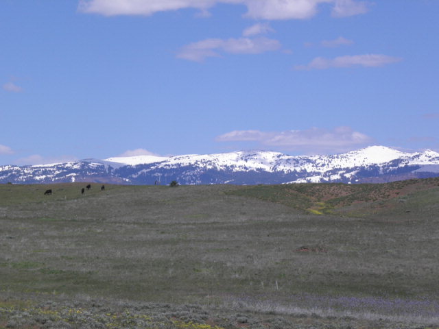 Lot 4 Hidden Canyons Road
