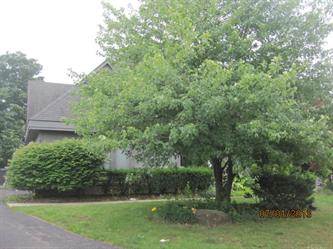 6750 Alta Vista Ct