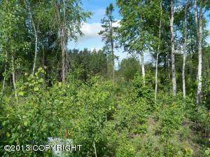 12613 S Knik Goose Bay Road