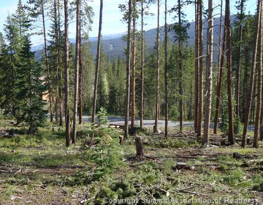 1828 Highlands Dr Highlands at Breckenridge