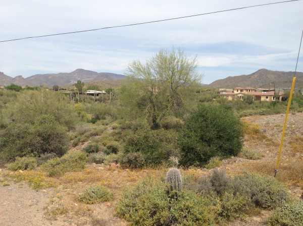 6612 E Lone Mountain Rd 1