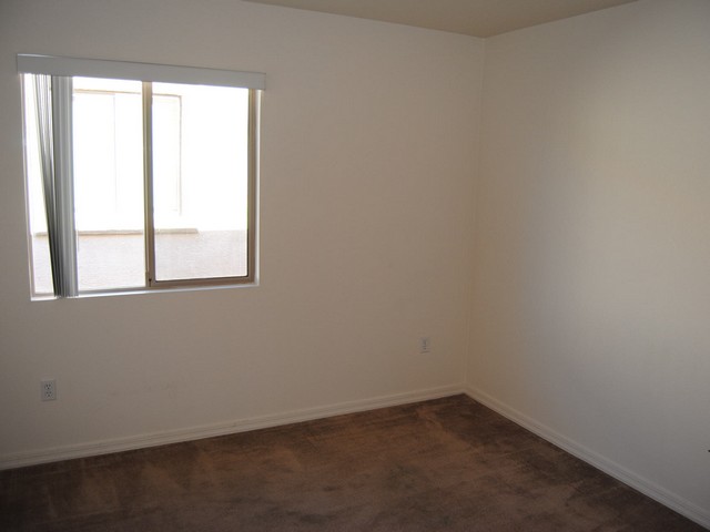 14596 S Camino Vendaval