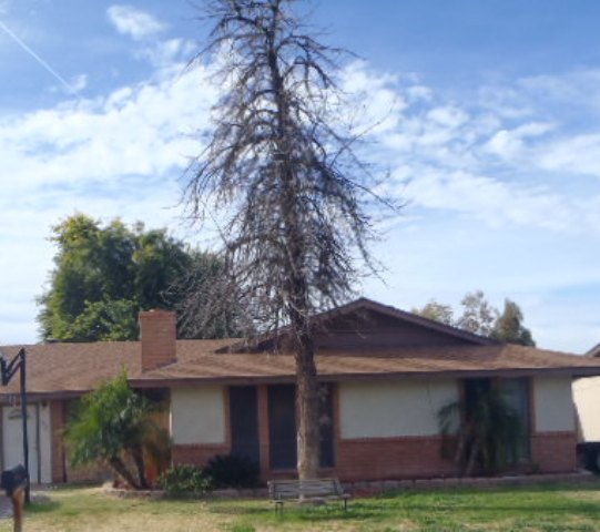 20 South Cholla Street