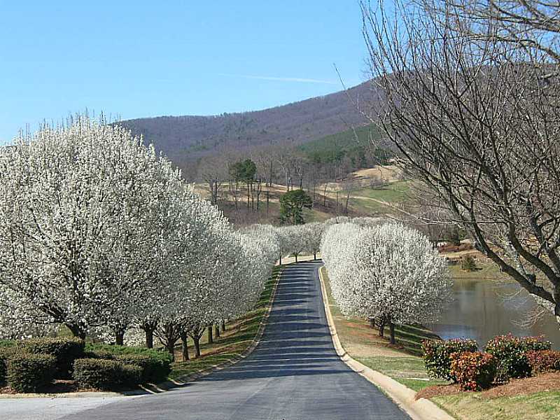 754 Plum Lane