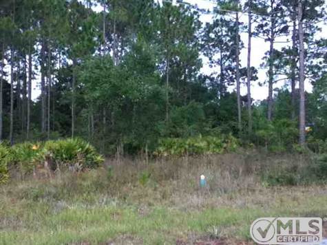 Lucy Ln S Lot 6 & 7