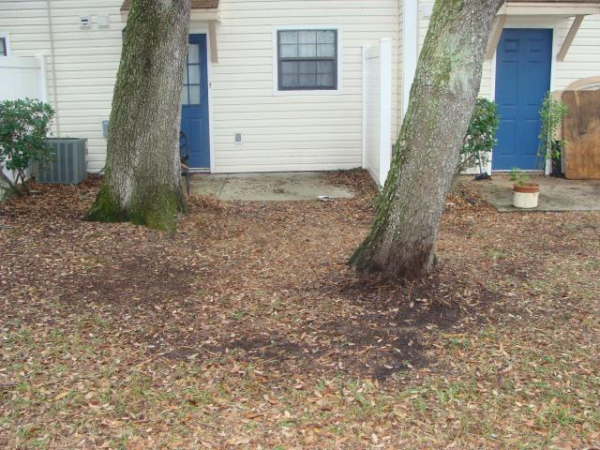 2302 Maki Rd 97