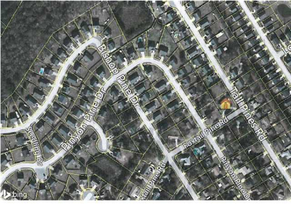 244 TALL PINES DR