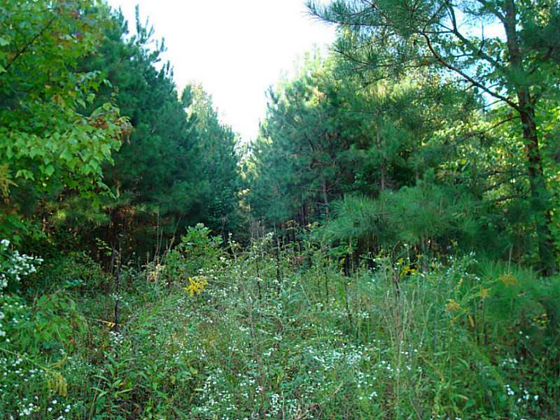 0 Woodland Road