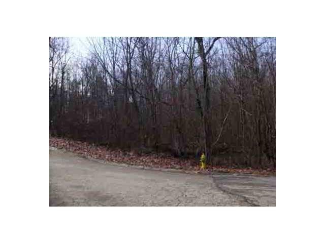 0 Laurel Springs Rd Lots 11 & 12