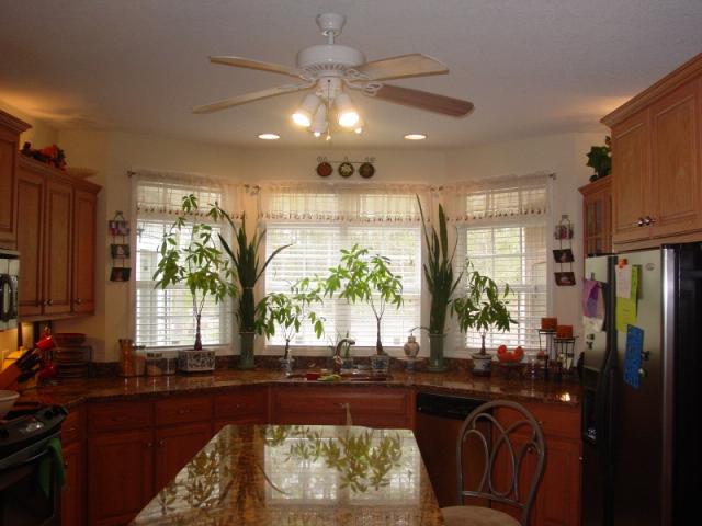 59 Peyton Place
