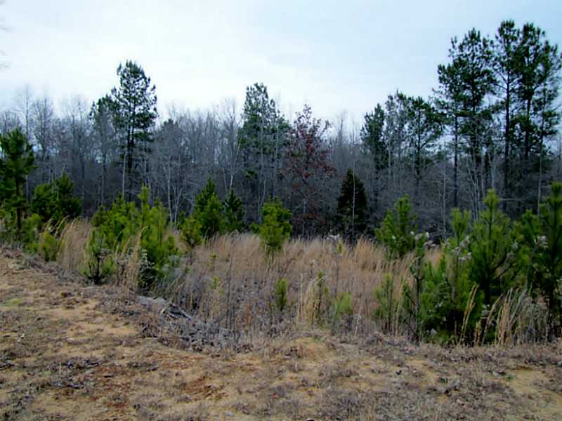 2168 Apalachee Trail