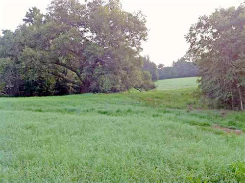 CR 384 (Old Longview Road_