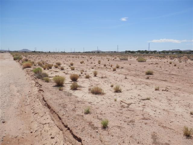 0000 Arizona