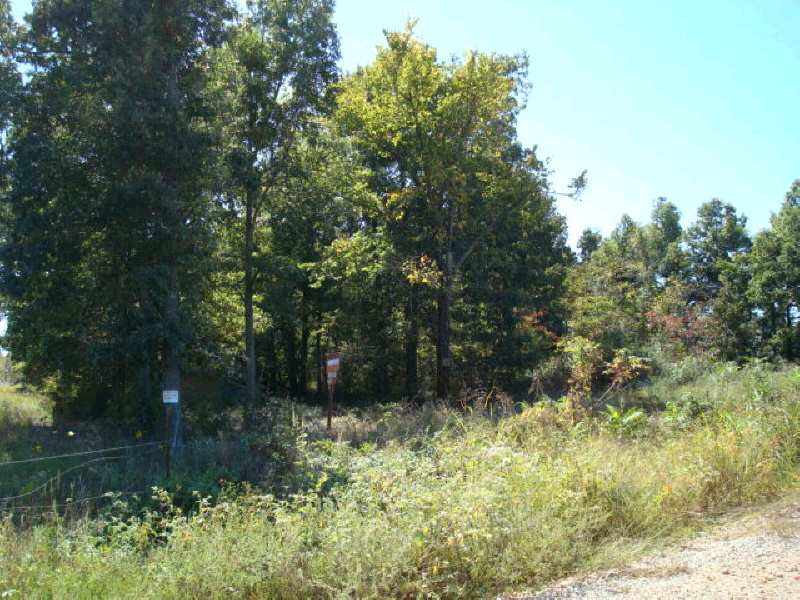 56.56 Acres CR 931