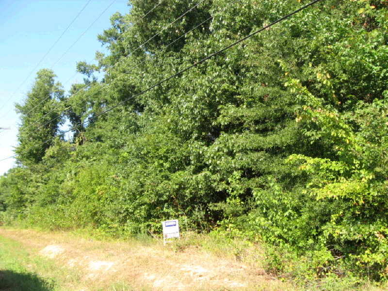 2 acres Old Greensboro Rd