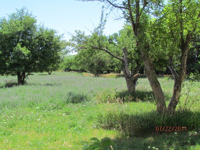 1370 Field