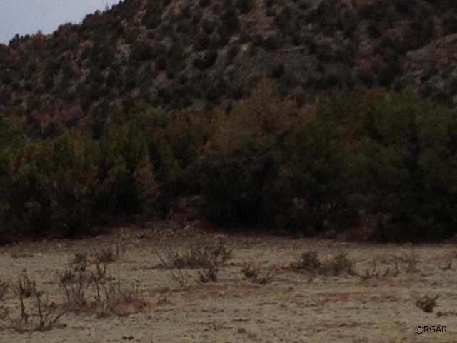 000 off county road 3