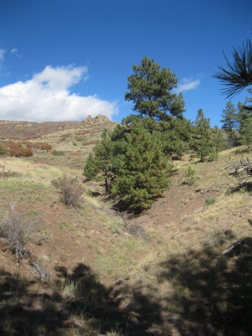82 Elk Run