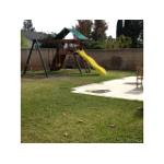 2441 Turnstone