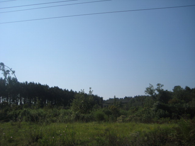 7.77 Acres Islands Highway
