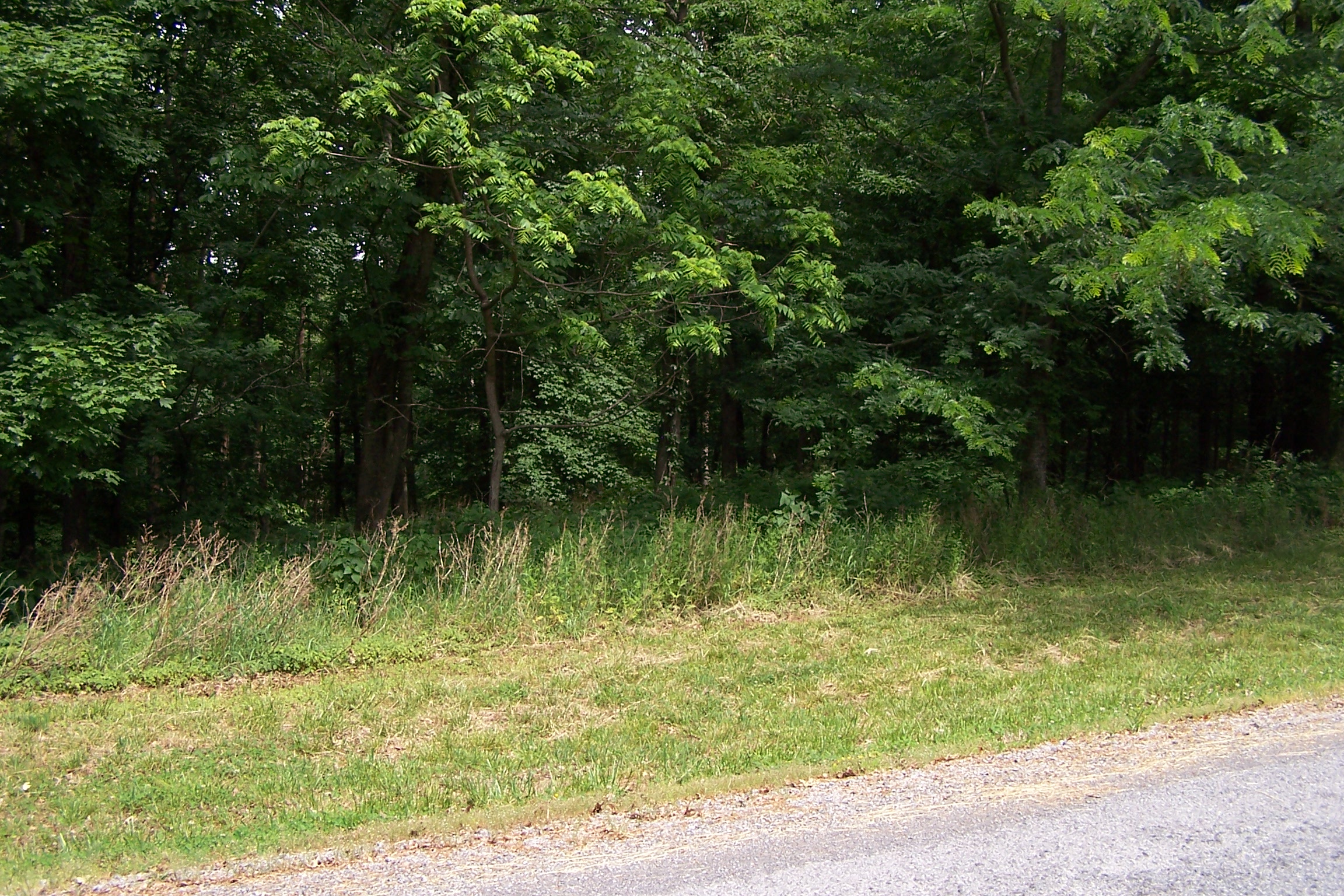 Lot 123 Woodfield Estates Dr.