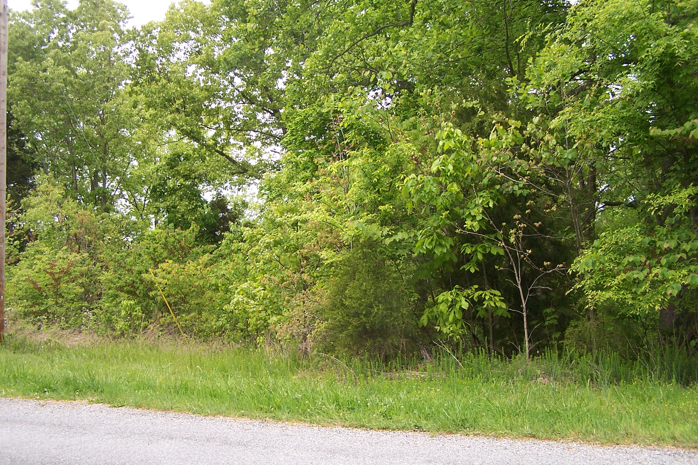 000 Al Henn Rd. Lot 19 Windsor Way