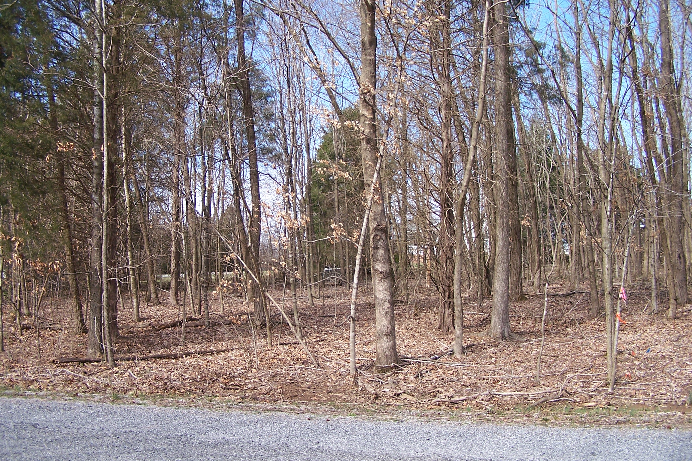 Lot 202 Frontier Lane