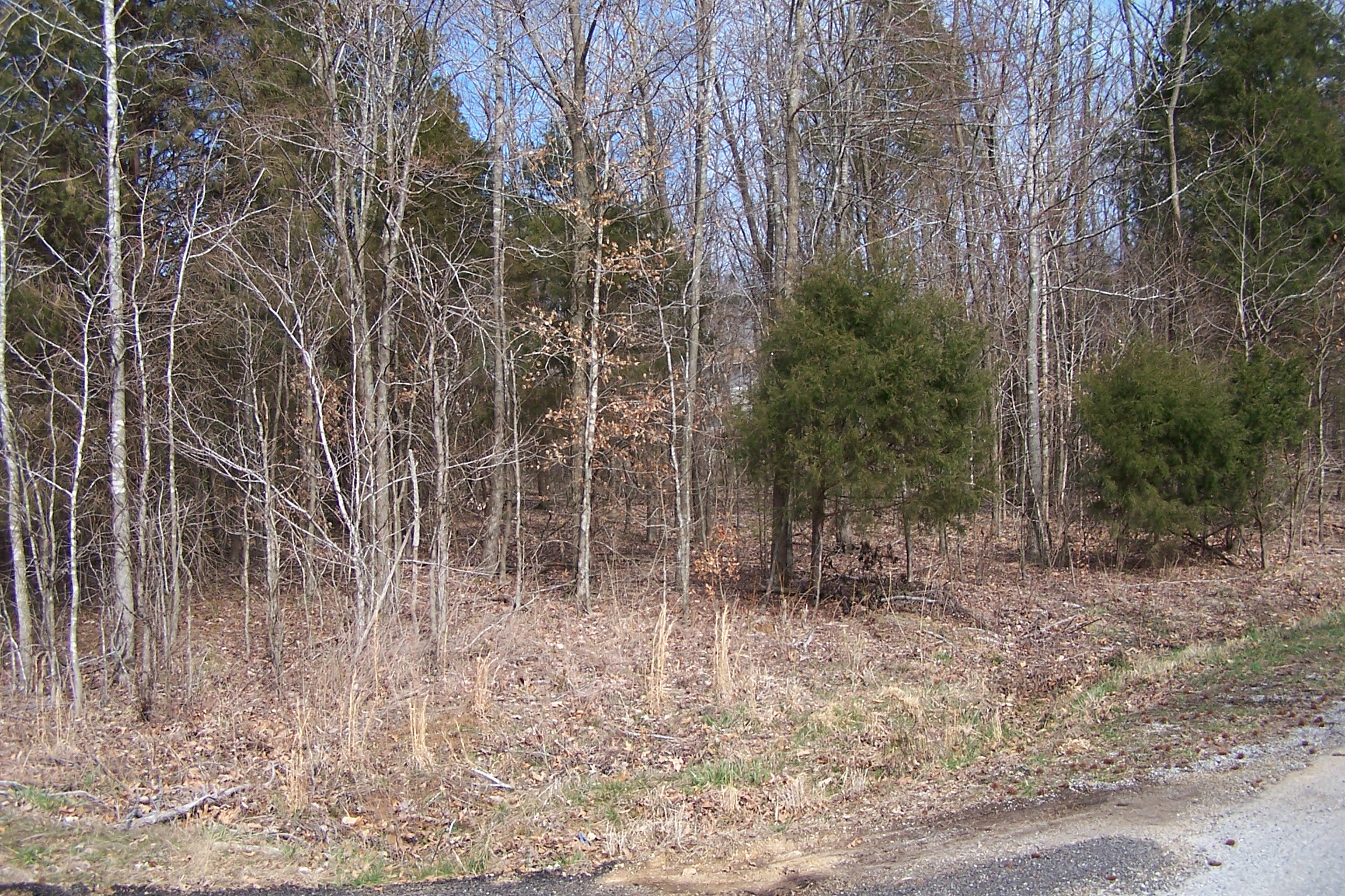 Lot 191 Frontier Lane