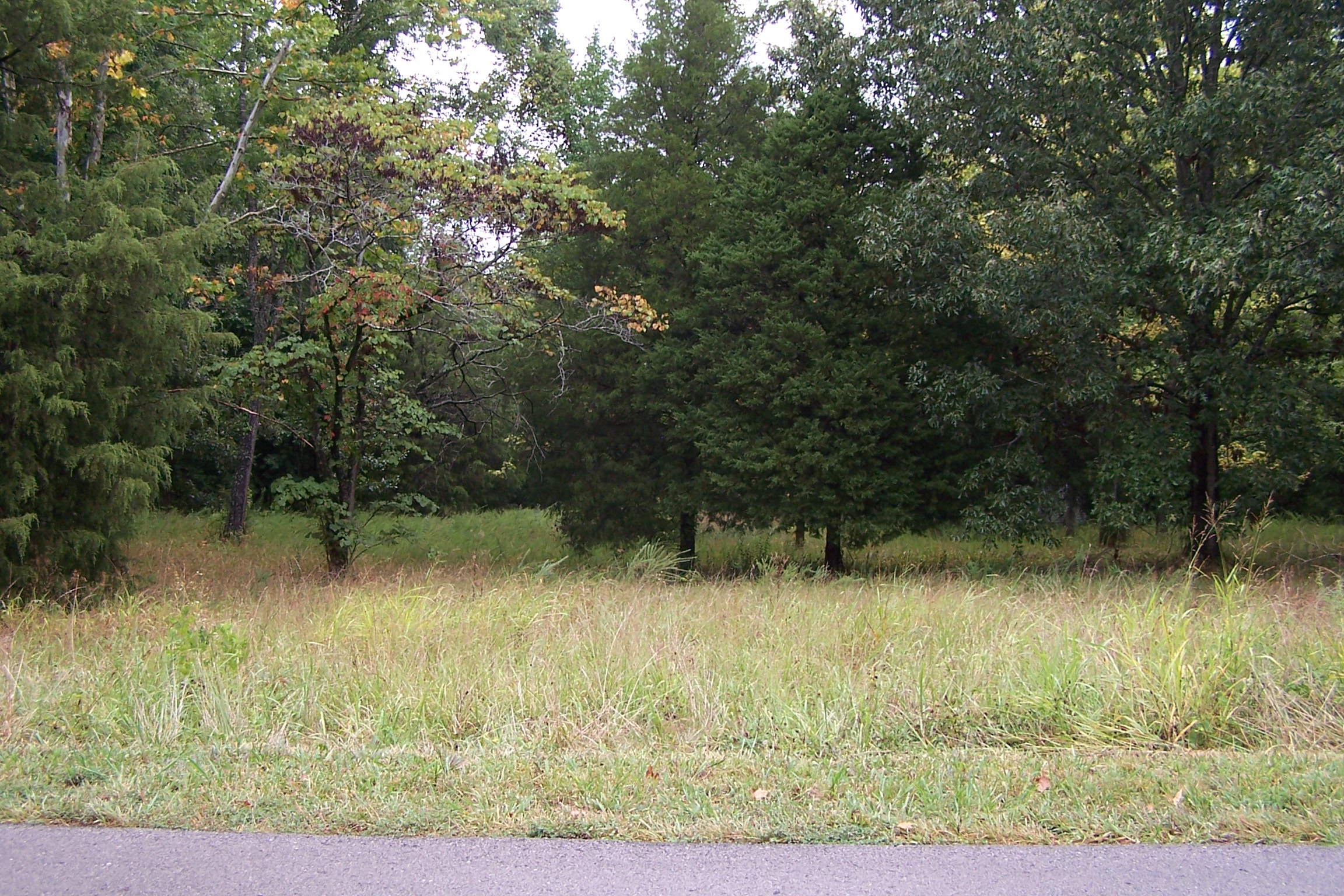 Lot 15, 16, 17 B. Hall Rd.