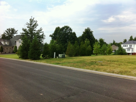 125 Forest Ridge Cove