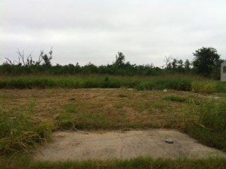 167 E COLLINS DR.