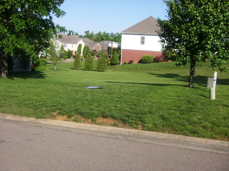 120 Spring Valley Cove