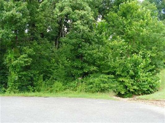 180 White Tail Circle