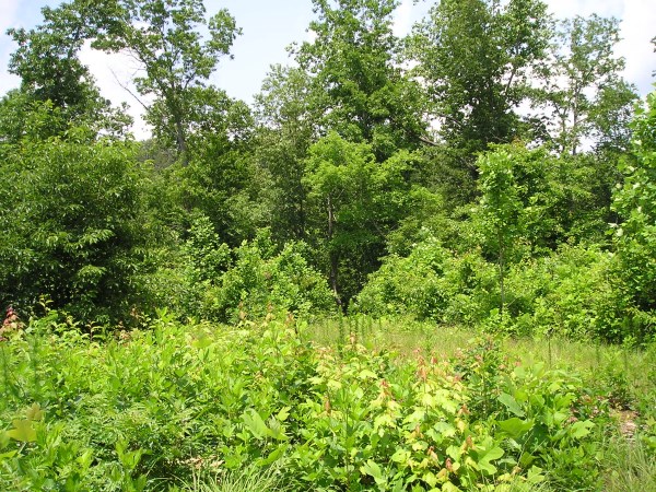 5180 Co Rd 813