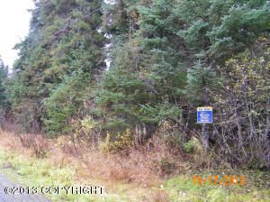 000 Alyeska Highway
