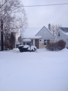 15894 Lappin
