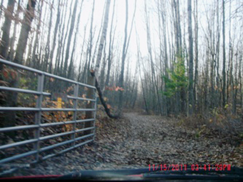 51 acres Birch