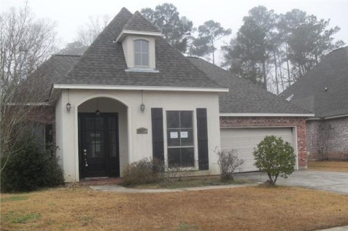 397 Brown Thrasher Loop S