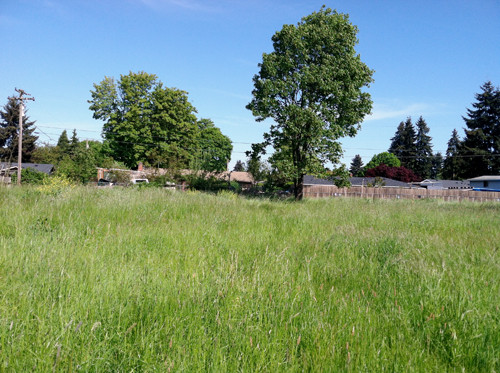 1419 Anderson Lane