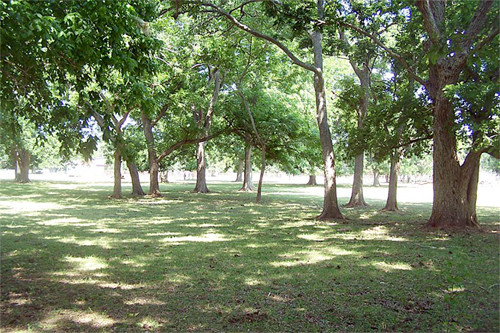 0 Watts Plantation DR