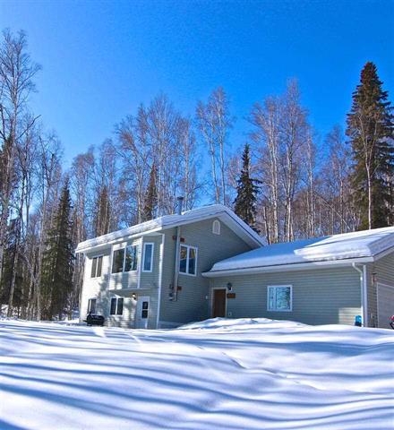1345 Whistling Swan